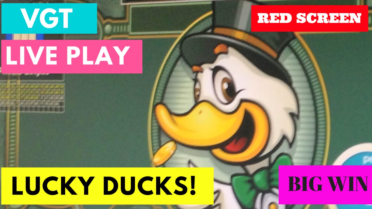 Lucky duck slot machine tricks